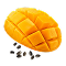Раздел 1
